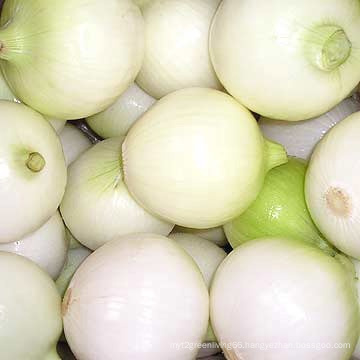 Excellent Peeled Onion for Export